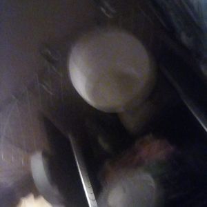 Meet your Posher, Dvs